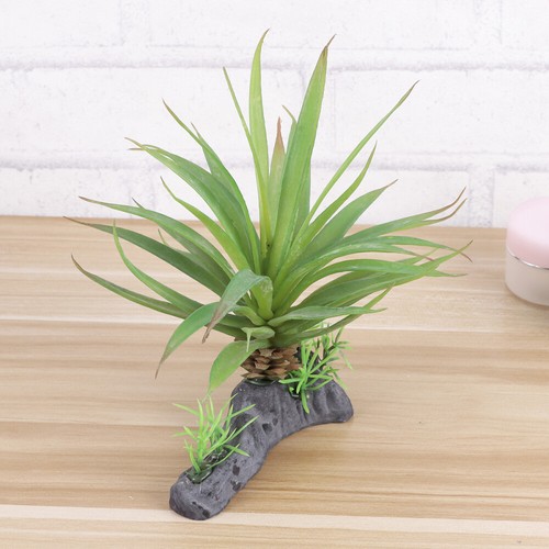 Vivarium ornaments tortoise - vivarium,