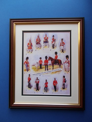 Regimental print framed - print,