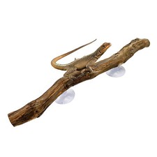 Snake Climbing Branch, Reptile