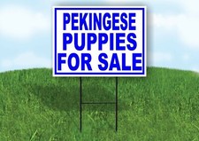 Pekingese PUPPIES FOR SALE