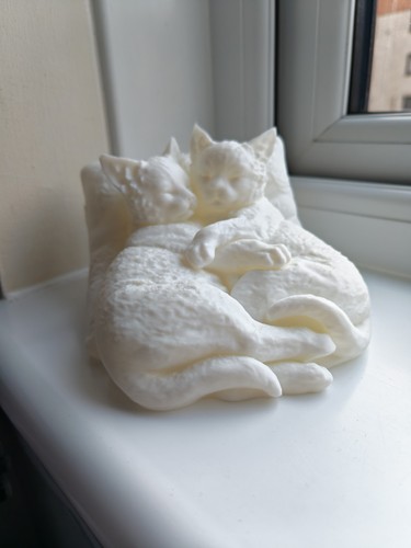 Kitten snuggles decorative - snuggles,
