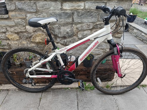 Barracuda mountain bike - barracuda,