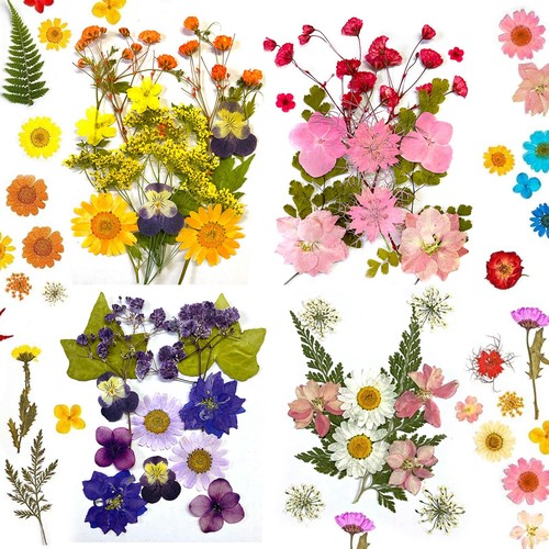 Pressed dried flowers pcs - pressed,