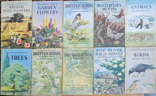 Vintage ladybird books - 10, x
