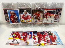 10 x Detroit Red Wings