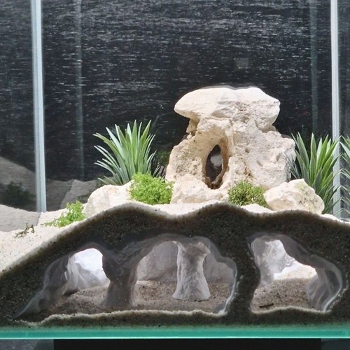 Aquarium cave decoration - cave,