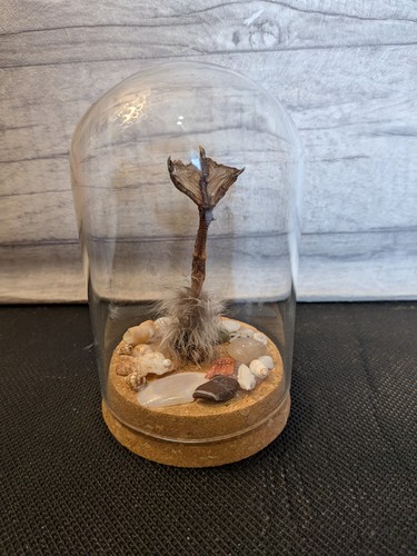 Taxidermy curiosity dome - taxidermy,