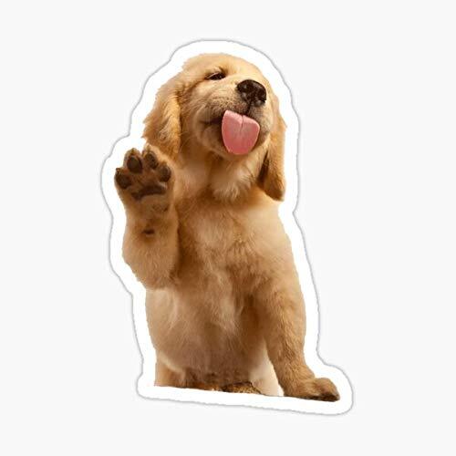 Dog lover golden - lover,