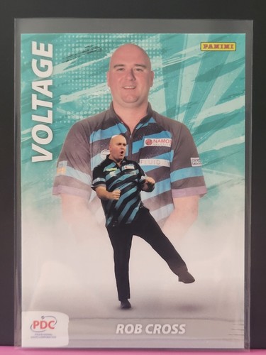 Panini pdc 2025 - panini,