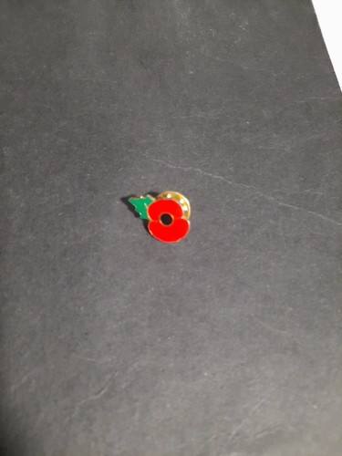 Plain poppy remembrance - plain, poppy¹