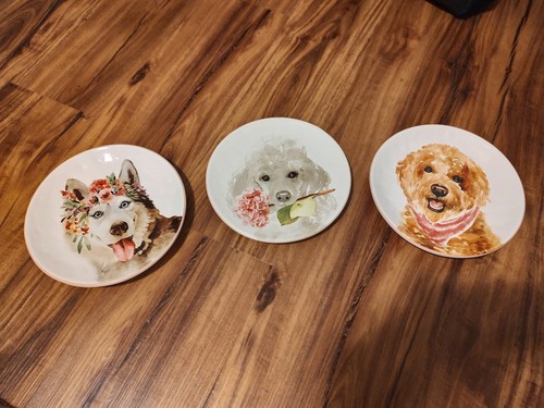 Pier plates posh pups - pier,