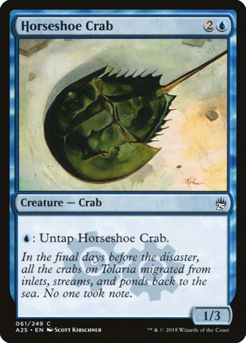 Horseshoe crab - crab, (61)