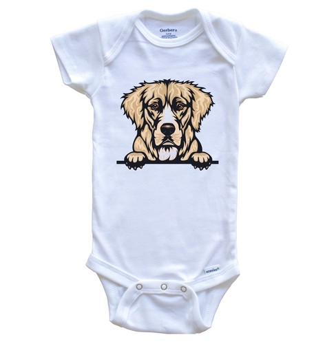 Golden retriever dog breed - golden,