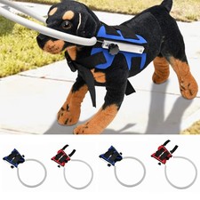 Blind dog harness guiding - dog,