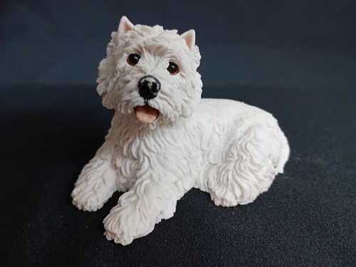 Border fine arts westie - fine, dog'