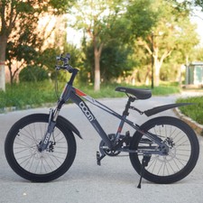 20 Inch Kids Bike Grey Boys Single Speed Bike Disc Break Bicycle Cycle Best Gift