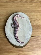 Pretty Pinky Purple Seahorse On Wooden Hanging Plaque Tree Slice 4" x 6"