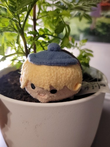 Disney world tsum - world,