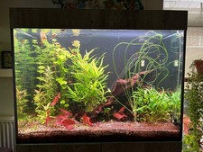 250 Litre / 55 Gallon Aquarium, Upgraded Light and Cabinet