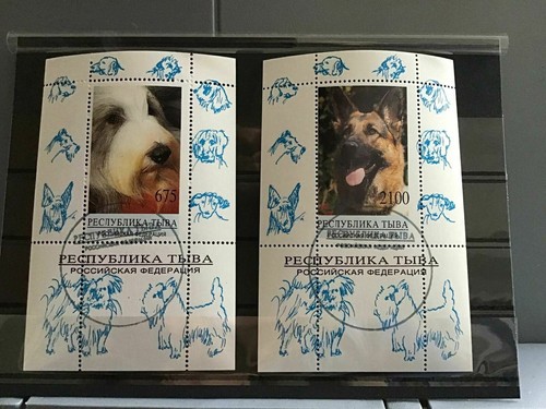 Alsatian and bearded - and, collie