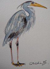Watercolour painting Heron