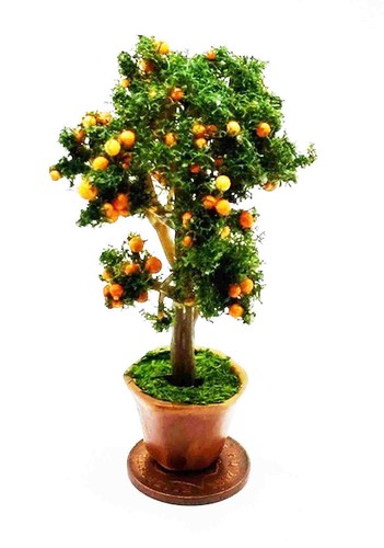 Dolls house potted orange bush - potted,