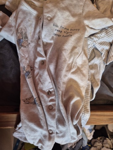 Peter rabbit print - peter,