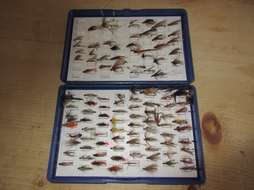 Wheatley fox box trout - wheatley,