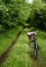 Beautiful Pashley Princess Bicycle 3 Speed Vintage Retro
