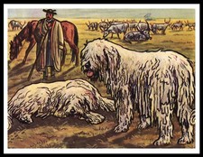 KOMONDOR DOGS SHEPHERD AND LIVESTOCK VINTAGE STYLE DOG ART PRINT POSTER