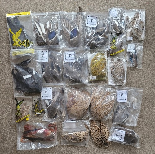 Selection fly tying wing - of,