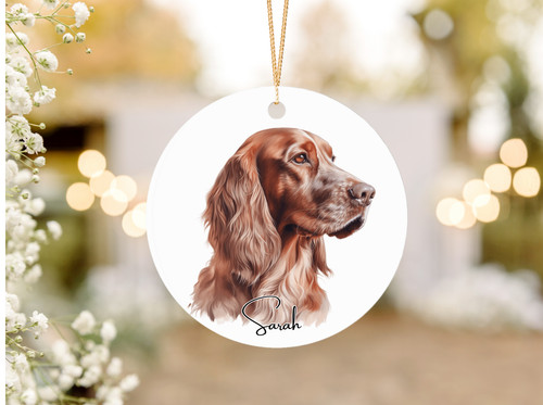 Red setter dog - , acrylic