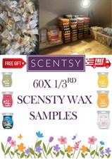 ✨60  Scentsy Wax Melt