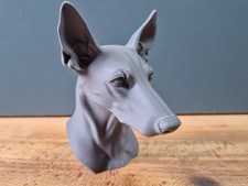 Podenco Bust