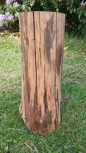 Log side table natural