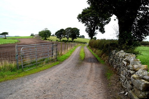 Photo 6x4 lane carony - photo, lane,