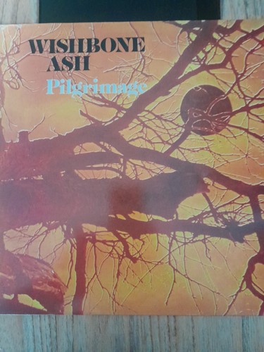 Wishbone ash pilgrimage - wishbone, ash: