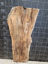 BURR ELM SLAB WANEY EDGE BOARD