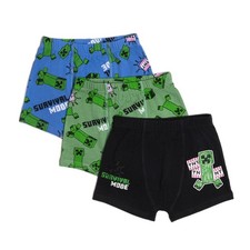 Minecraft Boys Boxers Briefs
