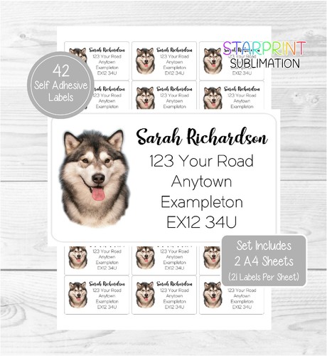 Alaskan malamute - alaskan,
