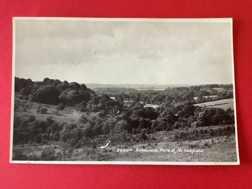 Ashdown forrest nr - u.k,