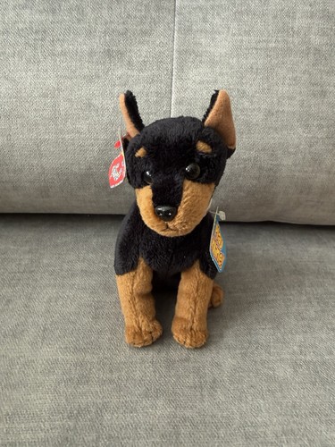 Trooper the doberman - trooper,