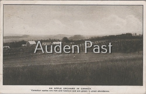 Vintage canadian apple orchard - vintage,