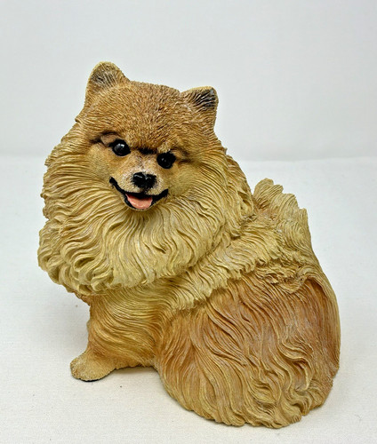 Living stone pomeranian dog - stone,
