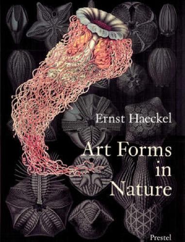 Art forms nature prints of - art, in