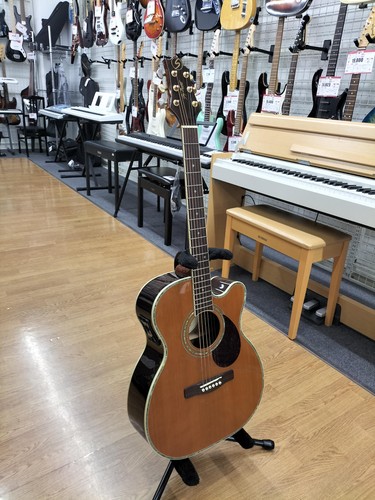 Greg bennett electric - bennett, acoustic