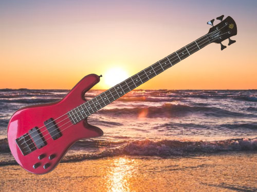 Spector performer string - performer,