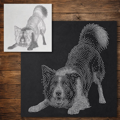 Border collie dog playing - border,
