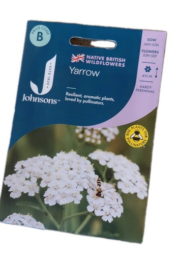 Johnsons 250 yarrow seeds - johnsons,