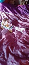 Mattel horse and carriage - horse,